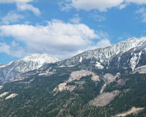Panoramablick